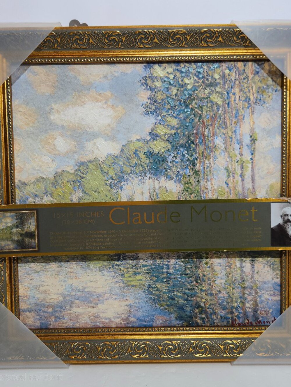 Monet Poplars Framed Canvas Art 15x15 Gold Frame Impressionist Decor